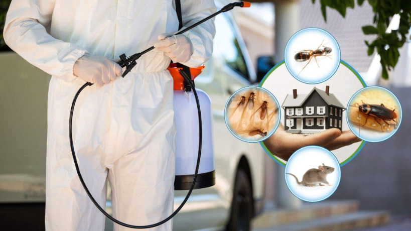 pest control services near me