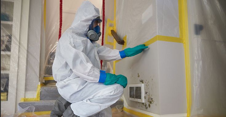pest control company winnipeg